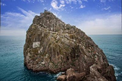 Прикрепленное изображение: IMG_4920м.jpg